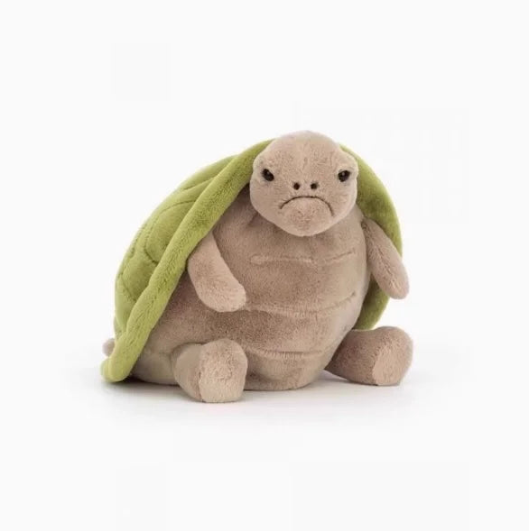 Timmy Turtle Romantic Outfit